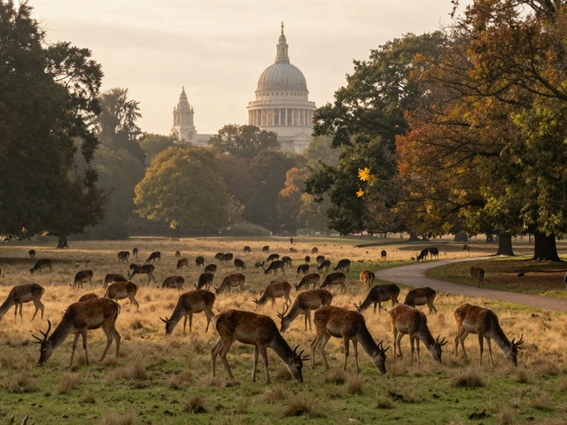 Best Parks for a Day of Exploration and Discovery in London